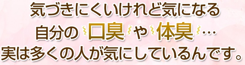 �C���Ǎ� �K�N�̗����T�C�g